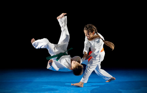 Judo2
